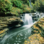 fall