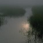 mist2