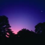 nightsky