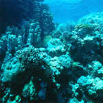 underwaterb