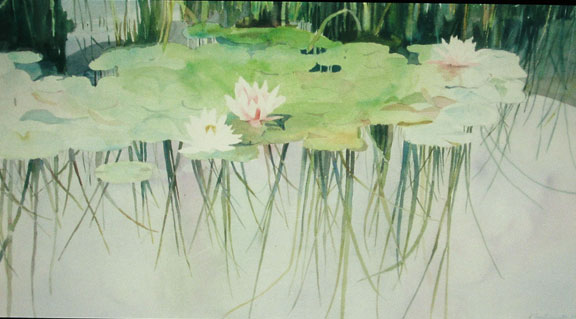 Lily Pond