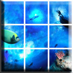 diver_tiles