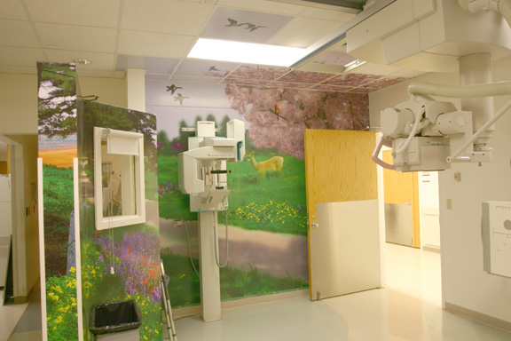 Bone Xray Room Mural Application