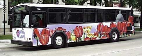 Tulip bus
