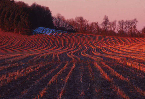 Furrows